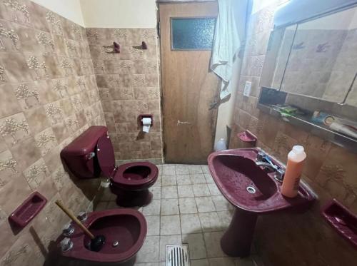 baño con 2 lavabos rosas y aseo en La roka gym casa, en San Salvador de Jujuy
