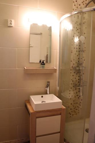 ein Bad mit einem Waschbecken und einer Dusche in der Unterkunft Joli T2 avec balcon au Cours Julien in Marseille