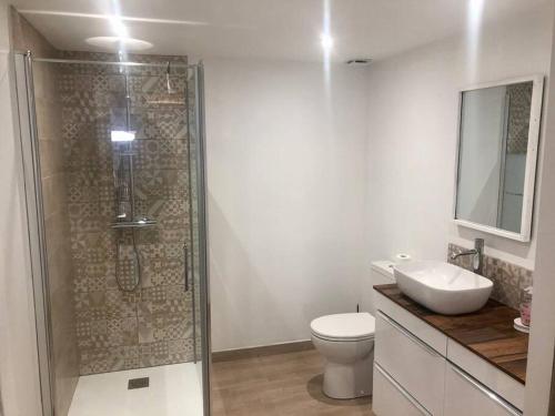 a bathroom with a shower and a toilet and a sink at Gîte du centre- Maison avec extérieur en centre ville in Mèze