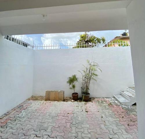 科蘇梅爾的住宿－Casa María.-Casa completa，白色的墙,有两株盆栽植物