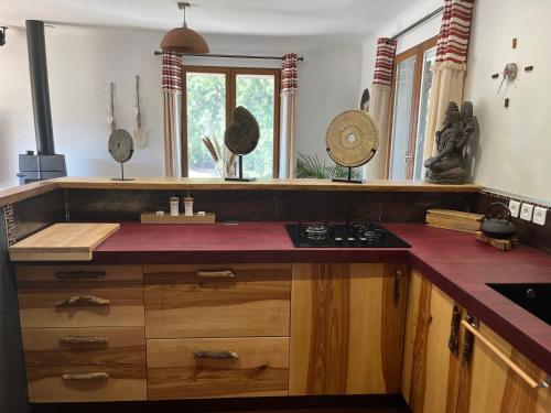 une cuisine avec une cuisinière et un comptoir dans l'établissement Villa Exotica et belle cabane en bois idéal famille, à Roquefort-les-Pins