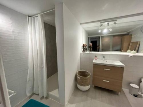 ein weißes Bad mit einem Waschbecken und einer Dusche in der Unterkunft Maison à Chiberta, à 5 minutes à pieds des plages in Anglet