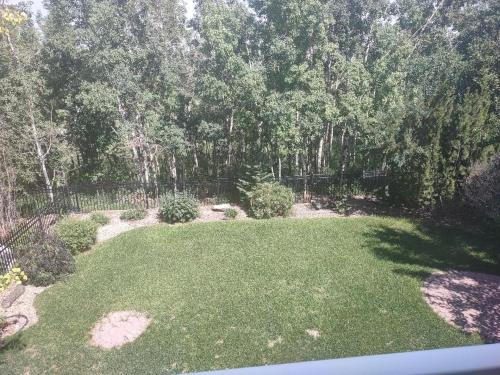an aerial view of a yard with green grass and trees at Spacious One Bedroom Walkout Basement Suite in Calgary