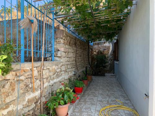 Fotografie z fotogalerie ubytování Taho Apartments v destinaci (( Breg i Kaçito ))