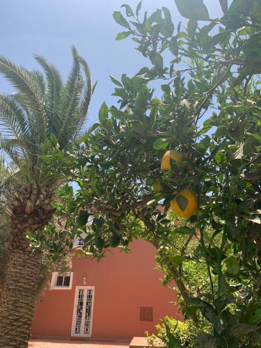Fotografie z fotogalerie ubytování Villa sherazade Agadir, petit déjeuné offert v destinaci Agadir