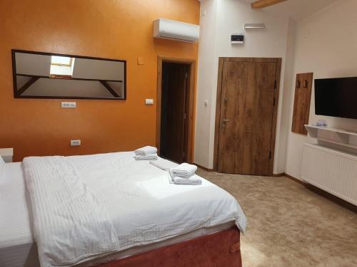 a bedroom with a bed and a flat screen tv at Fruškogorski biser in Sremski Karlovci