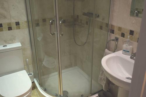 a bathroom with a shower and a toilet and a sink at Hill View Cottage in Bala