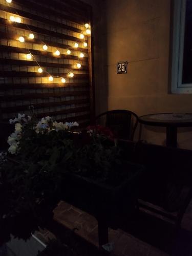 バイナ・バシュタにあるJaz Apartmanのギャラリーの写真