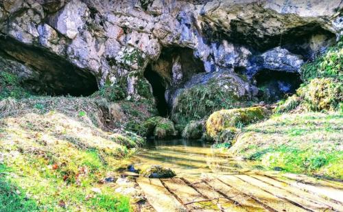 Landskap semula jadi dekat dengan chalet