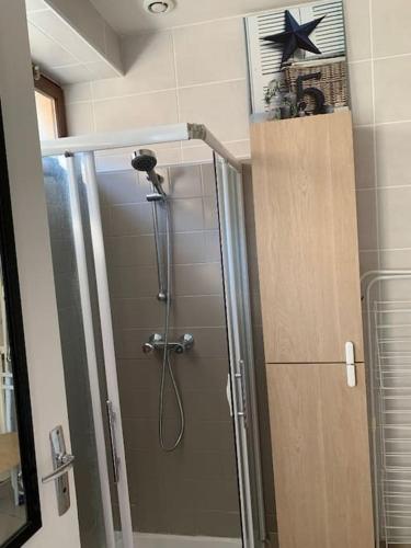 une douche dans une salle de bain avec une porte vitrée dans l'établissement La Vallée Claire, à Le Blanc
