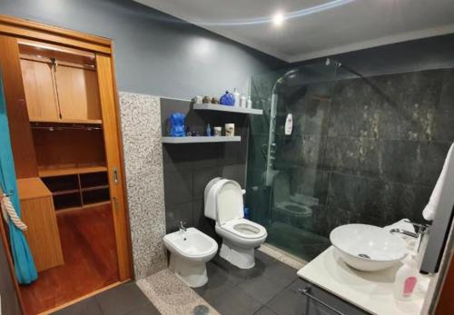 W łazience znajduje się toaleta, prysznic i umywalka. w obiekcie O farol do funchal w Funchal