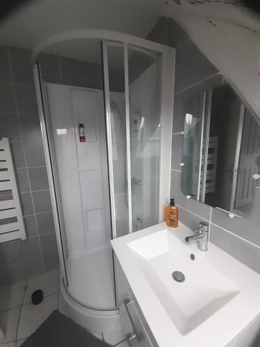 a bathroom with a sink and a shower and a mirror at T2 4p ste Savine proche centre Troyes in Sainte-Savine