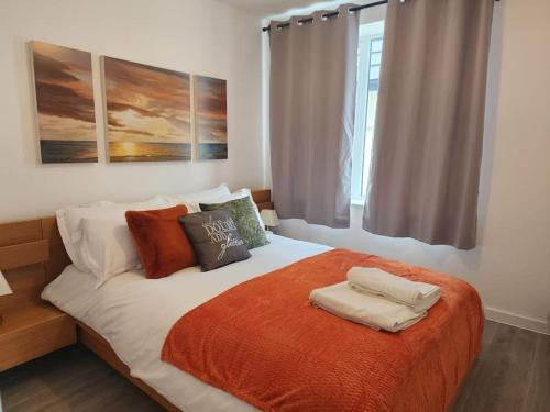 1 dormitorio con 1 cama con 2 almohadas en Paradigm Court, Modern 2-Bedroom Apartment F2, Oxford, en Oxford