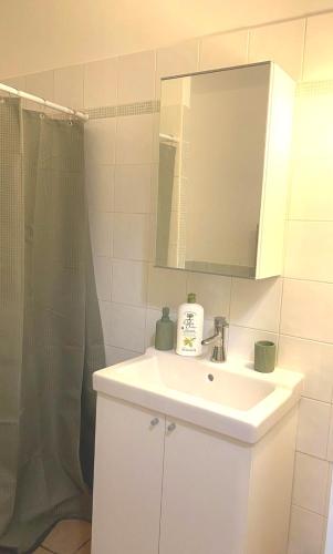 une salle de bain avec un lavabo, un miroir et une douche dans l'établissement Appartement central maison Marceau, à Rivesaltes