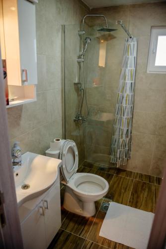 a bathroom with a shower and a toilet and a sink at Premium Apartments in Žabljak