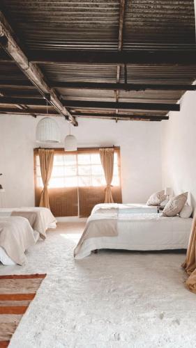 Lodge Pampa Haus – Photos 5