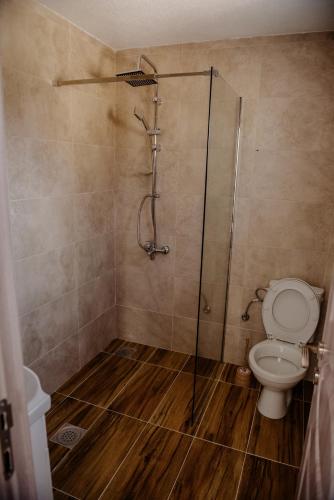 a bathroom with a shower and a toilet at Premium Apartments in Žabljak