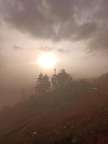 a misty sunrise on a foggy road with trees at THIÊN HƯƠNG Homestay Măng Đen in Kon Von Kla