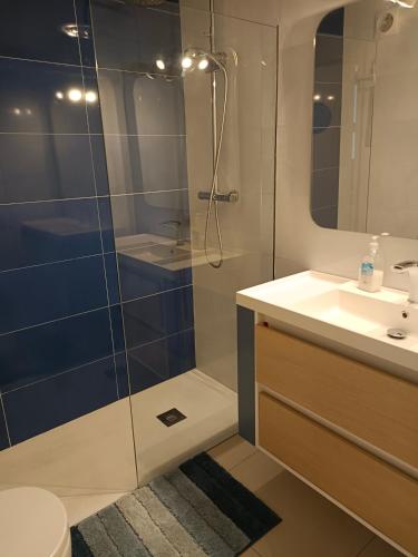 a bathroom with a shower and a sink and a toilet at Apartamento completo en Cadaqués in Cadaqués
