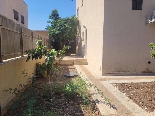 AẖihudにあるAssaf's place - המקום של אסףのギャラリーの写真