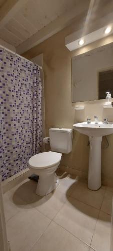 a bathroom with a toilet and a sink at Alquiler cintia 2 in Gualeguaychú
