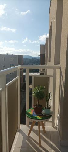 a balcony with a table and a potted plant on it at LODGING DAy in Temuco