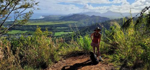 a man standing on a trail with a dog on a hill at OceanFront Kauai - Harmony TVNC 4247 in Kapaa