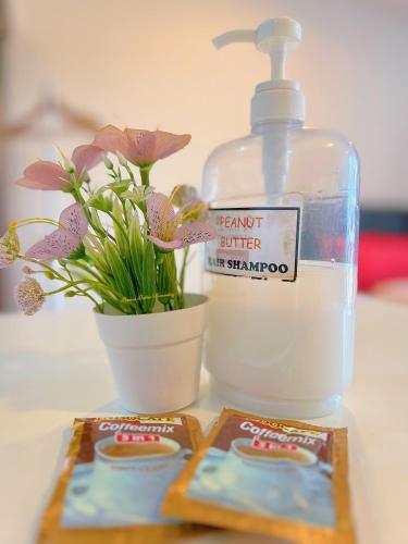 a bottle of laundry detergent next to a potted plant at Peanut Butter Homestay #Trefoil Setia City in Setia Alam