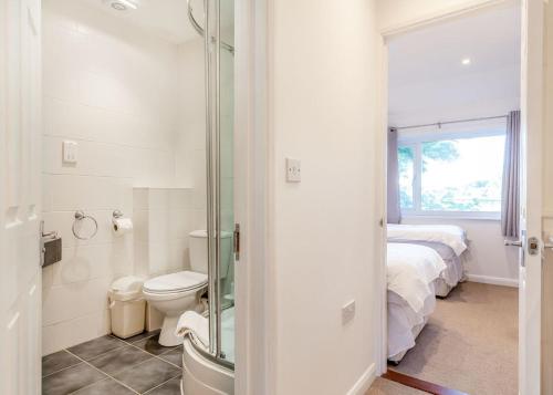 a bathroom with a shower and a toilet in a room at Amazing Home In Newquay With Indoor Swimming Pool, Wifi And Heated Swimming Pool in Newquay