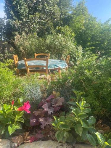 Κήπος έξω από το Gîte Mas provençal