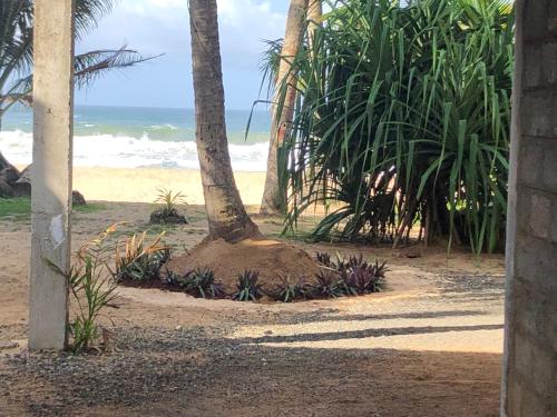 a palm tree on a beach with the ocean at Mandy House in Habaraduwa