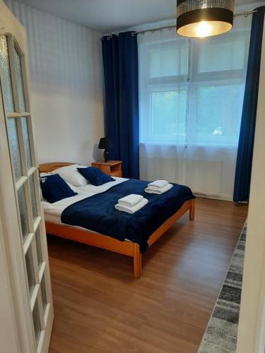 Tempat tidur dalam kamar di Apartament Ola Podczele