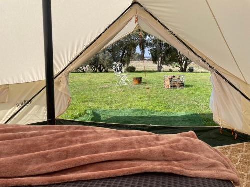 ein Zelt mit einem grünen Feld im Hintergrund in der Unterkunft Cosy Glamping Tent 1 in Ararat