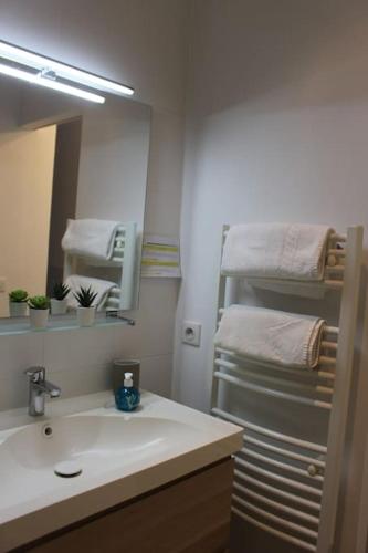 La salle de bains est pourvue d'un lavabo, d'un miroir et d'un porte-serviettes. dans l'établissement Superbe T2 Spacieux Centre-ville avec extérieur, à Montpellier