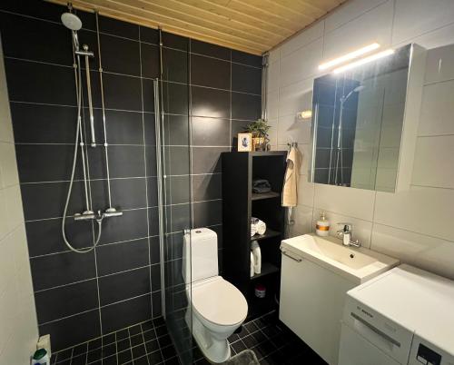 a bathroom with a toilet and a sink and a shower at Cozy studio in Vantaa, Near Airport with Parking in Vantaa