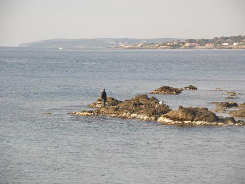 Φυσικό τοπίο κοντά σε αυτό το ξενοδοχείο διαμερισμάτων