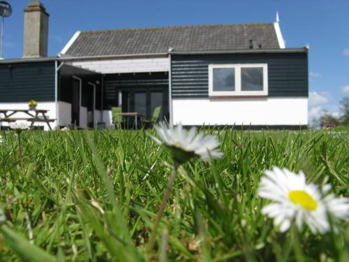 a house in the grass with flowers in the foreground at vakantiehuis Warder in Warder
