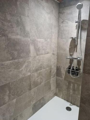 une salle de bain avec douche et toilettes dans l'établissement Appartement Proche Aéroport Bâle/Mulhouse, à Blotzheim