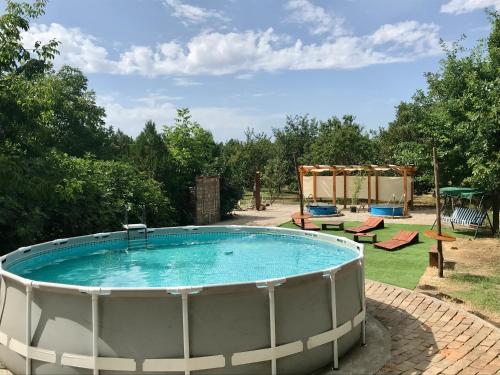 uma grande piscina num quintal com cadeiras e uma mesa em etno kuća Đeram em Mokrin