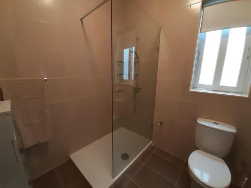 ein Bad mit einem WC und einer Glasdusche in der Unterkunft Calypso Apartment in Marsalforn