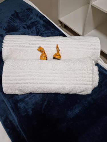 two birds sitting on top of a white towel at Hope Lodge in East London