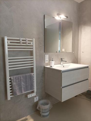 une salle de bain avec un lavabo et un miroir dans l'établissement Les Pins, à Saint-Martin-dʼAoût