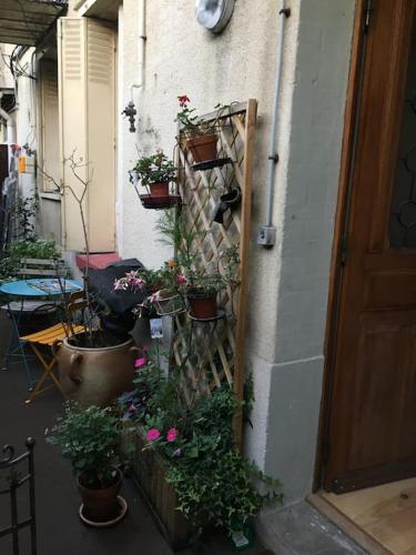 Une bande de plantes en pot sur le côté d'un bâtiment dans l'établissement Vincennes,un nid cosy frais et paisible, à Vincennes