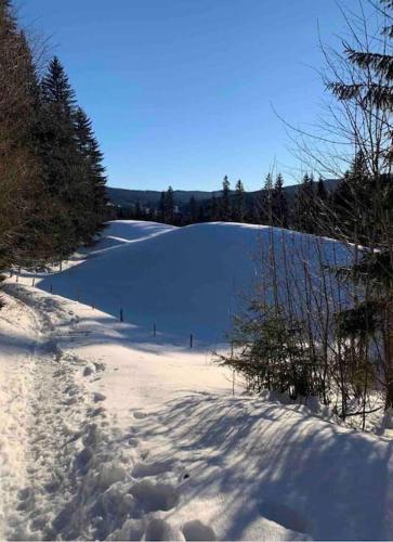 Une colline enneigée avec des gens qui y skieront dans l'établissement Grand appartement aux Rousses au dessus de la Meublerie du bois de l'ours, aux Rousses