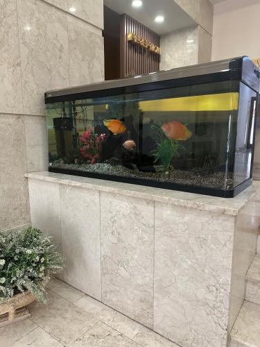 a fish tank on a wall in a room at Акку in Astana