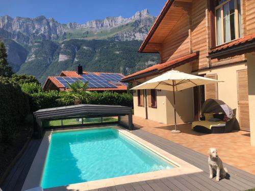 a dog is sitting next to a swimming pool at Doodle's Amazing Chalet -Walensee - Flumserberg - Churfirsten - Heidiland - Pool - Sauna in Mols