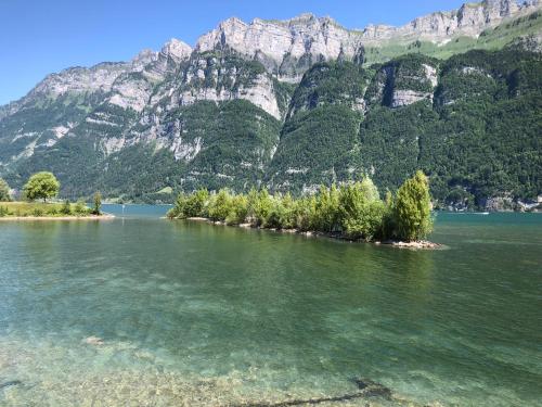 an island in a lake with mountains in the background at Doodle's Amazing Chalet -Walensee - Flumserberg - Churfirsten - Heidiland - Pool - Sauna in Mols