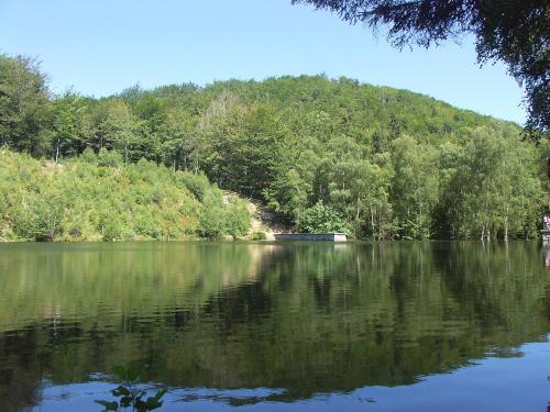 a view of a lake with a mountain in the background at Apartmán Levandule in Mařenice