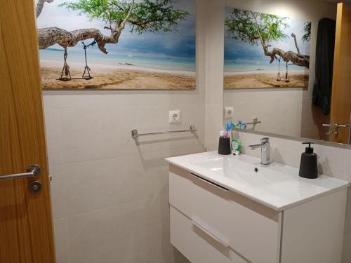 ein Badezimmer mit einem Waschbecken und zwei Gemälden von Vögeln an der Wand in der Unterkunft Apartamento en pleno centro in Alhama de Murcia