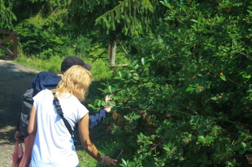 a man and a woman walking down a trail at Zarinok in Pilipets